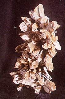 baryte en sifflet de la mine de Maine Collection Mus�um d'Histoire Naturelle